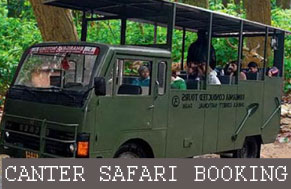 dhikala canter safari review
